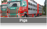 varkenshandel_uk_01_pigs.png