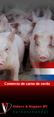 home_01_es_commercio_de_carne_de_cerdo.png