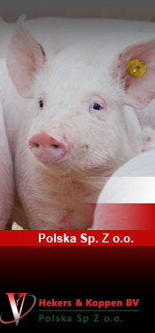 polska.png